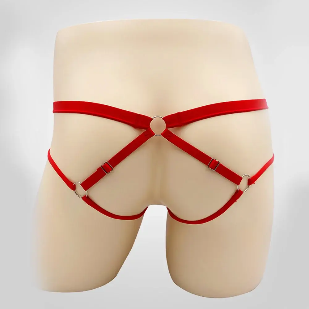 Sexy Underwear Men's G-Strings Exotic Lingerie Panties Sheer Lace Pouch Hollow Out Lace Flower Pattern Adjustable Waistband
