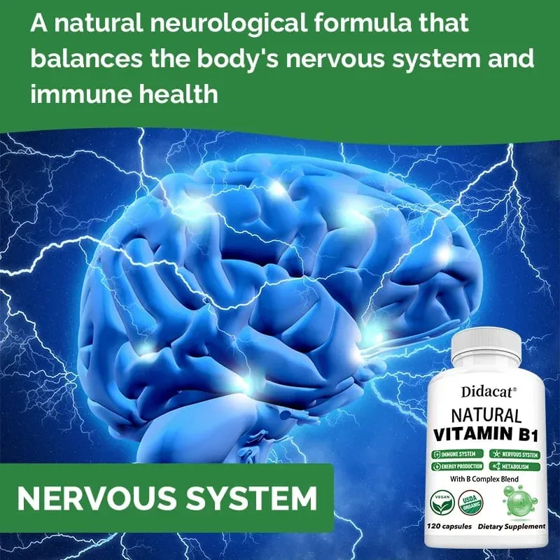 Didacat Vitamin B1 Helps The Immune System Nervous System Energy Support Dietary Supplement