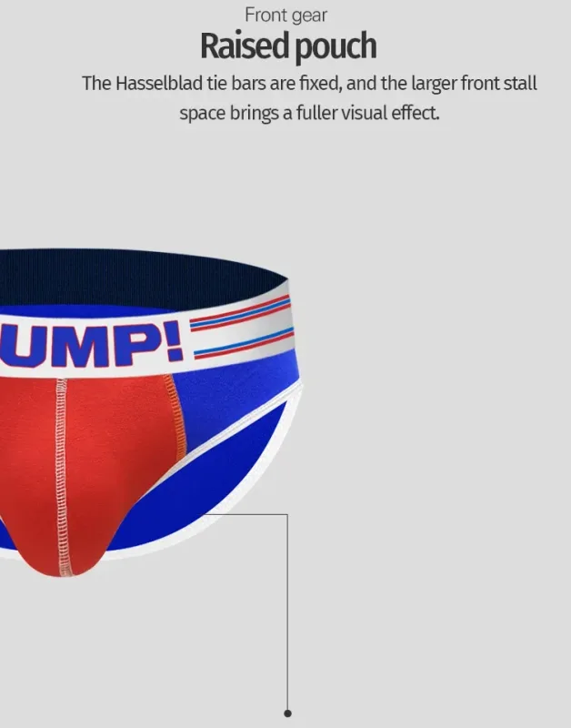 Men's Cotton Color Block Briefs, Pump! Logo Wide Waistband Low Rise Sexy 3D Convex Pouch Underwear 3256813080433415
