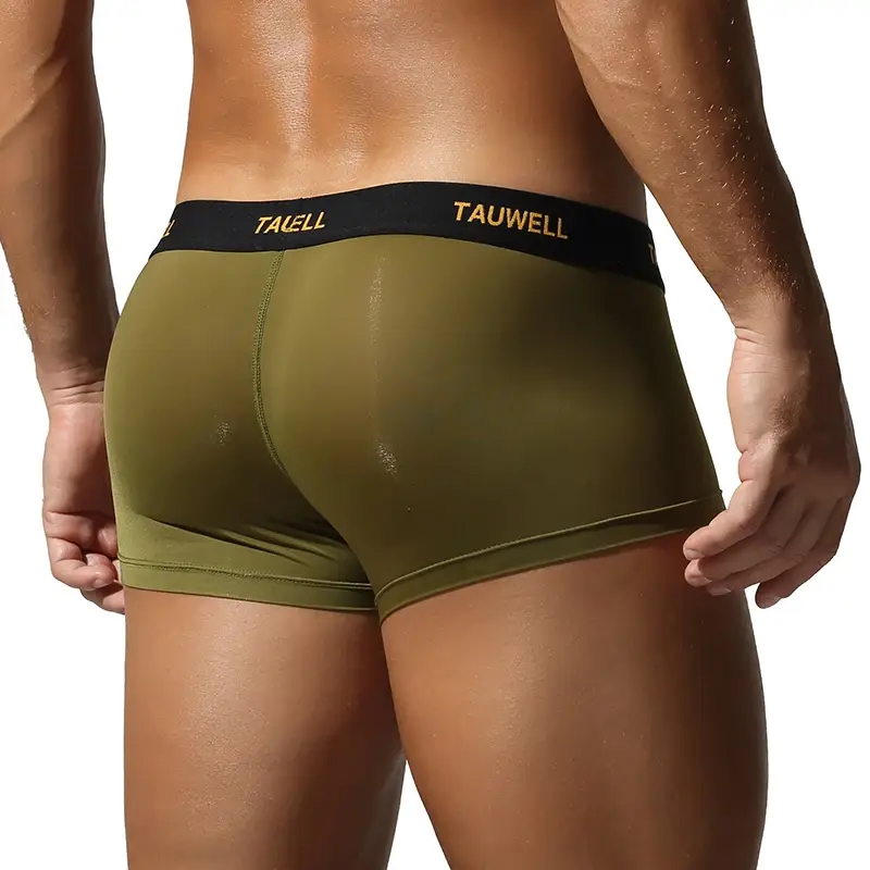 Men's Underwear Comfortable Cool Thin Sexy Semi-Transparent Flat Angle Pants with U-Shaped Pouch Briefs