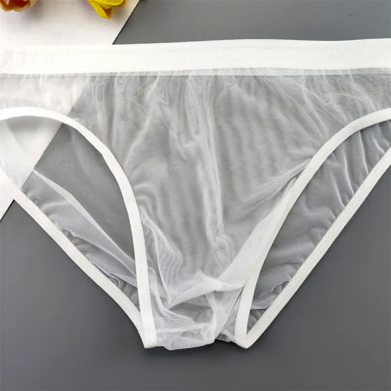 Plus Size Transparant Ondergoed Zien Door Sexy Slips voor Mannen met Zakje Nylon Hombre Slips Ademend Heren Slipje XL-4XL
