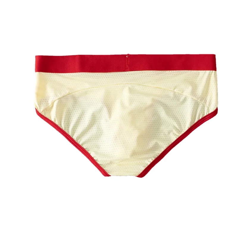 Fashion Mens Underwear Briefs Breathable Mesh Men's Panties Men Brief Bikini Underpants Back Patch Big Pouch Man Trunks D3-11