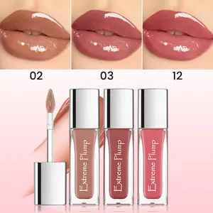 3Pcs Extreme Plump Lip Gloss Set Mirror Glass Finish Long Lasting Hydrating Lip Glaze Non-sticky Waterproof Nude Liquid Lipstick