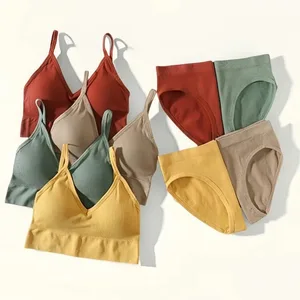 Dámské kalhotky podprsenka set Bezešvá podprsenka zkrácená Bralette Crop Top Low Back Podprsenky Sexy spodní prádlo Push Up Set Sexy spodní prádlo