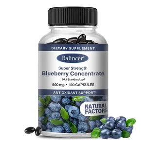 Blåbärskapslar - 500 mg bra för hjärnan Hjärtats hälsa Ögonvård Antioxidant främjar slät hud - 120 kapslar