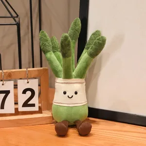 29cm Asparagus